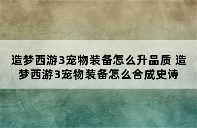 造梦西游3宠物装备怎么升品质 造梦西游3宠物装备怎么合成史诗